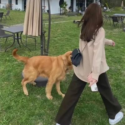 伦敦黑沼